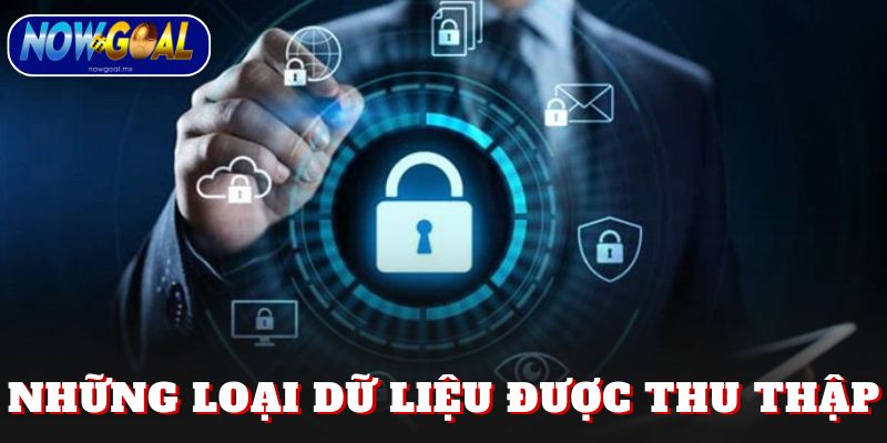 Những loại dữ liệu được thu thập